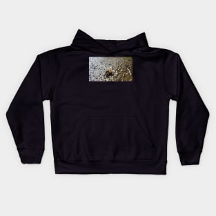 Honey Bee Drinking Water Kids Hoodie